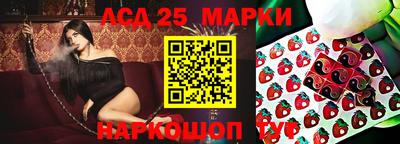 шишки Конаково