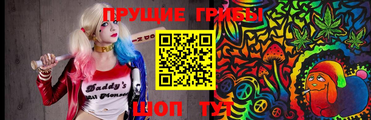 Галлюциногенные грибы Psilocybe Ирбит